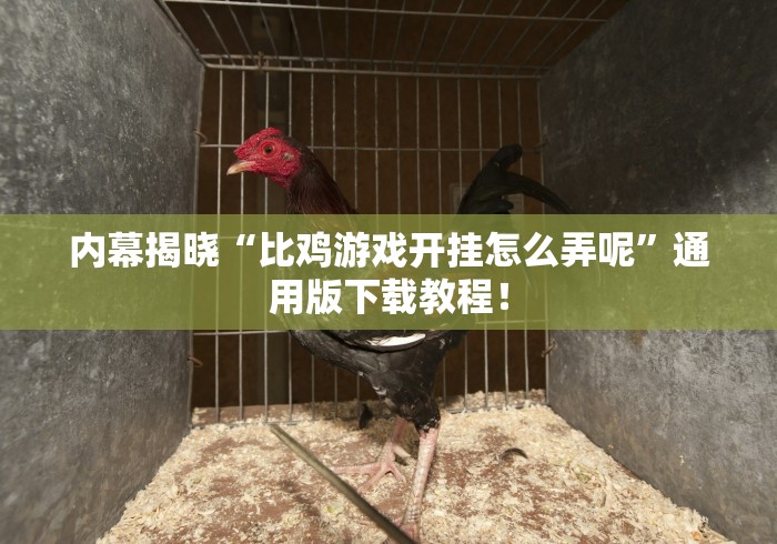 大神揭秘“雀神麻将透视”掌握辅助功能必胜规则