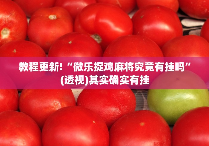 秒懂经验“卡五星麻将到底有没有挂透视辅助”(确实有挂)