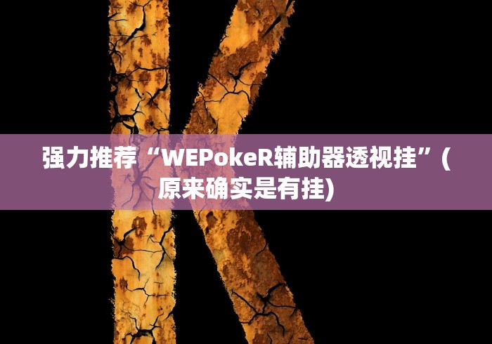 使用分享“博雅红河棋牌开挂器”开挂辅助脚本+详细开挂