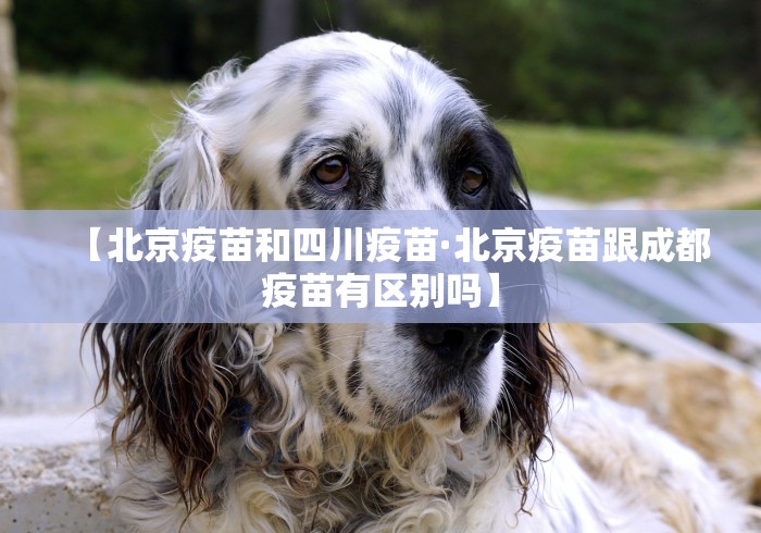 盘点麻将确实是有挂”(详细透视教程)-知乎