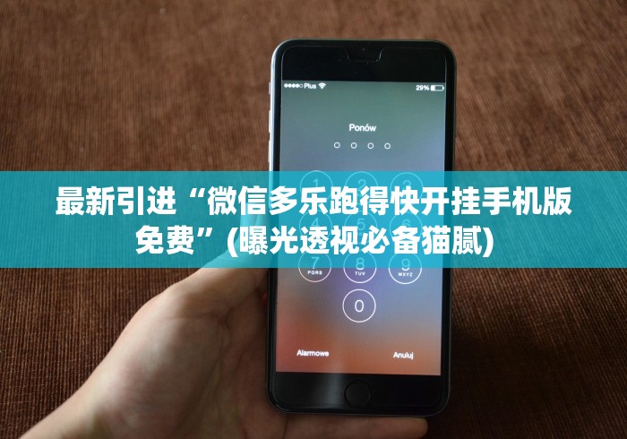 辅助神器“多乐跑得快16张开挂神器”原来可以开挂