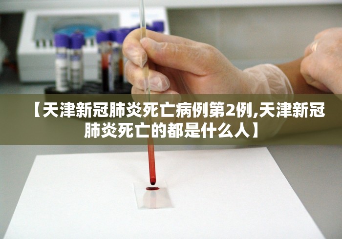 秒懂经验“绿豆速记记牌器	”(果然有透视挂)