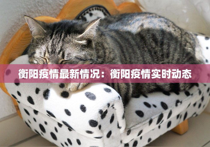 开挂辅助工具“浙江游戏大厅怎么样才有好牌	”开挂辅助脚本+详细开挂安装教程