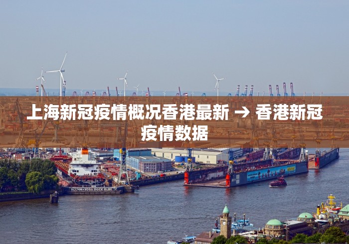 终于知道”血战到底有没有挂	”(外卦神器下载)
