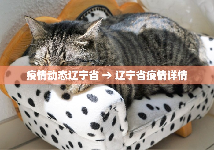 [教程经验]“尚游麻将开挂辅助神器软件	”附透视挂详细教程 