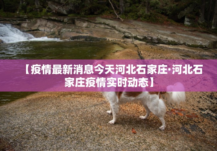 最新引进“途游斗地主有挂吗?(详细透视开挂教程) 最新引进“途游斗地主有挂吗?(详细透视开挂教程)