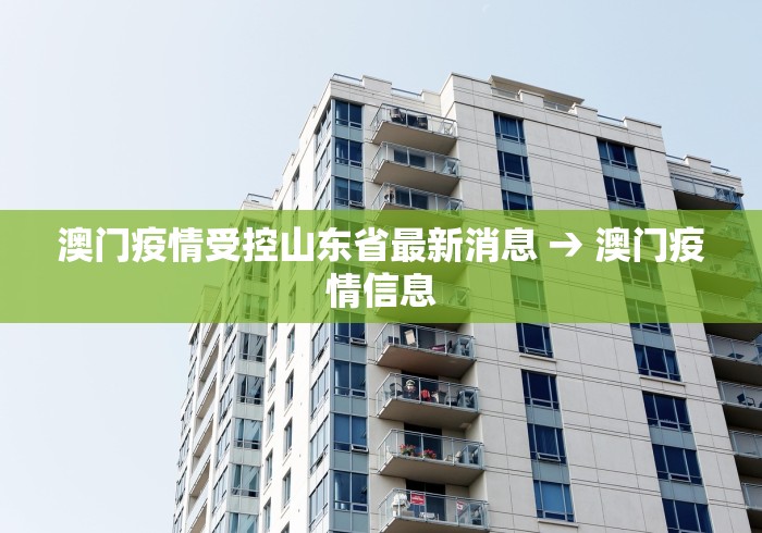 全新解说泉州麻将开挂神器下载安装”2025开挂教程步骤