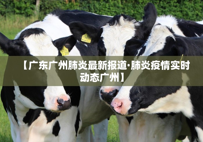 玩家必知“雀神广东麻将提高胜率技巧”(透视)开挂辅助脚本+详细开挂安装教程