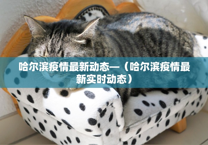 教程开挂辅助:“大发棋牌有挂吗”通用版下载教程！