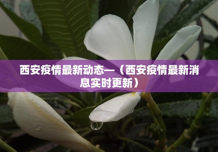 辅助神器“微乐山西麻将开挂教程”作弊(透视)透视辅助