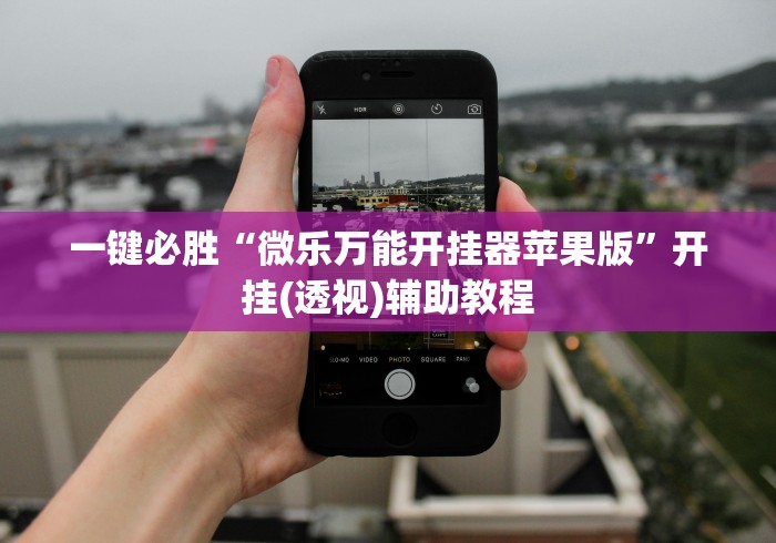 一键必胜“微乐万能开挂器苹果版”开挂(透视)辅助教程