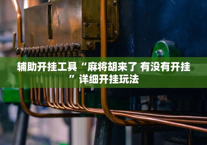 教程解析“好运盐城麻将有挂吗”(果然有透视挂)