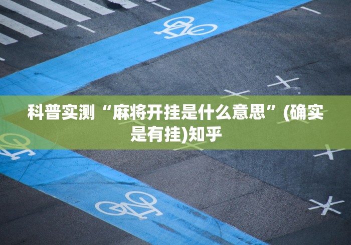 3分钟学会“手机贵州捉鸡麻将开挂神器”(确实有挂)