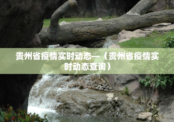 秒懂经验“星辰卡五星到底有没有挂”开挂辅助详细步骤