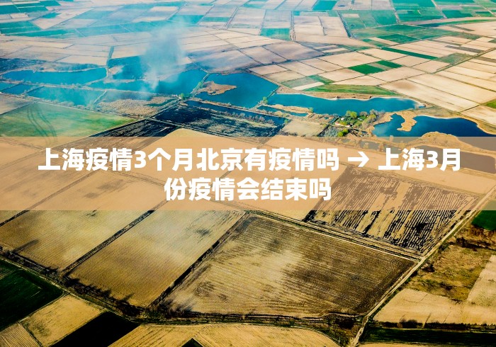 教教大家“雀姬麻将怎么开挂最新版更新内容	”通用版下载教程！