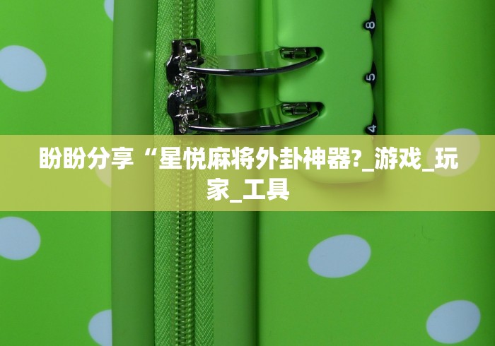 盼盼分享“星悦麻将外卦神器?_游戏_玩家_工具