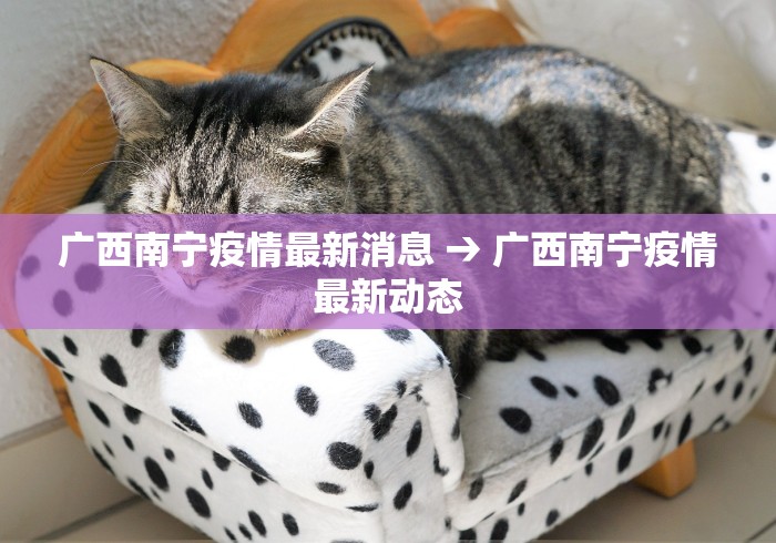 教程解析“小程序财神十三张有挂吗”附开挂脚本详细教程