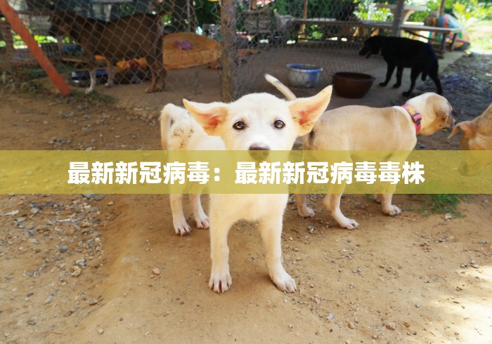 辅助最新信息“开心麻将开挂神器下载软件”(确实真的有挂)