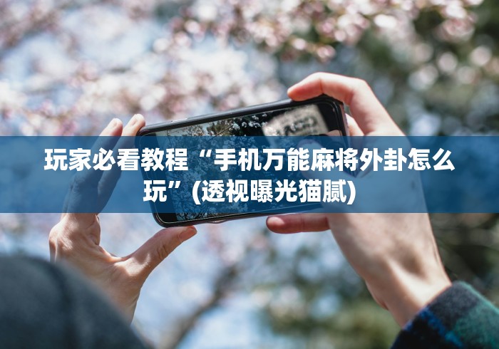 玩家必看教程“手机万能麻将外卦怎么玩”(透视曝光猫腻)