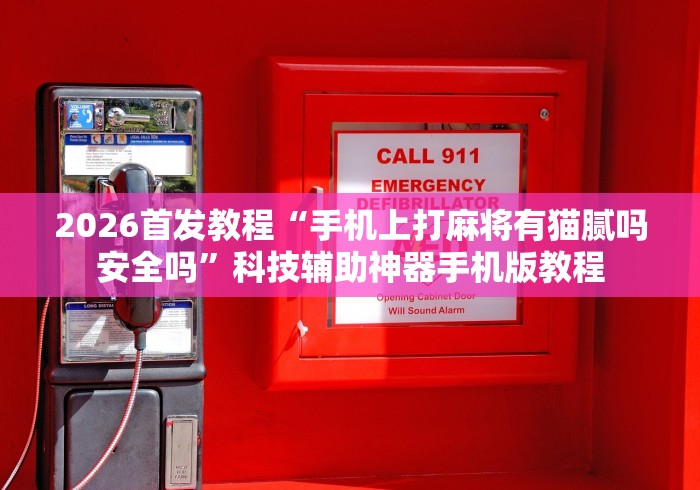 2026首发教程“手机上打麻将有猫腻吗安全吗	”科技辅助神器手机版教程