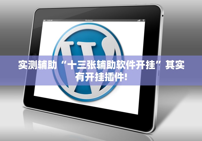 实测辅助“十三张辅助软件开挂”其实有开挂插件!