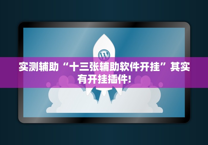 实测辅助“十三张辅助软件开挂	”其实有开挂插件!