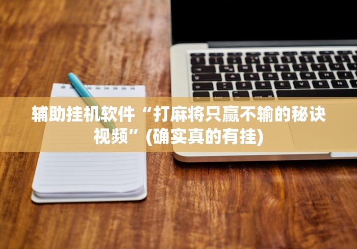 辅助挂机软件“打麻将只赢不输的秘诀视频”(确实真的有挂)