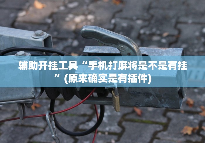 辅助开挂工具“手机打麻将是不是有挂”(原来确实是有插件)