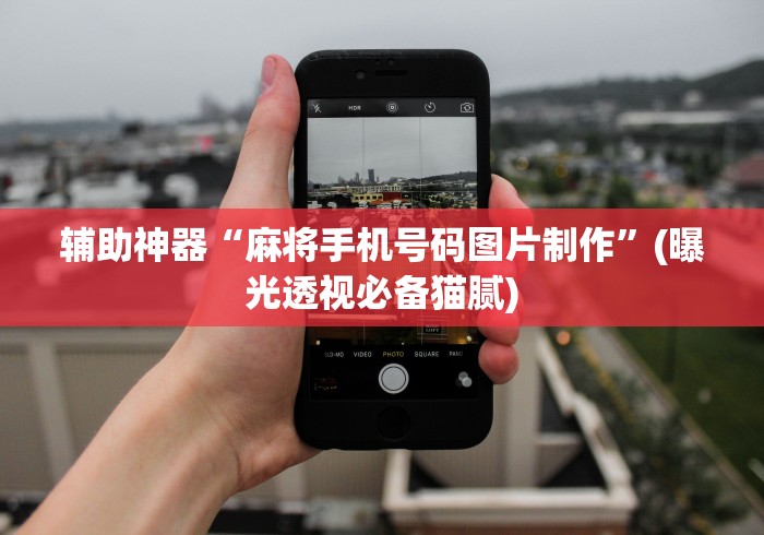 辅助神器“麻将手机号码图片制作”(曝光透视必备猫腻)