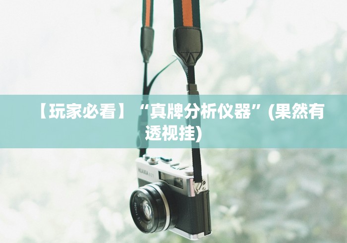 【玩家必看】“真牌分析仪器”(果然有透视挂)