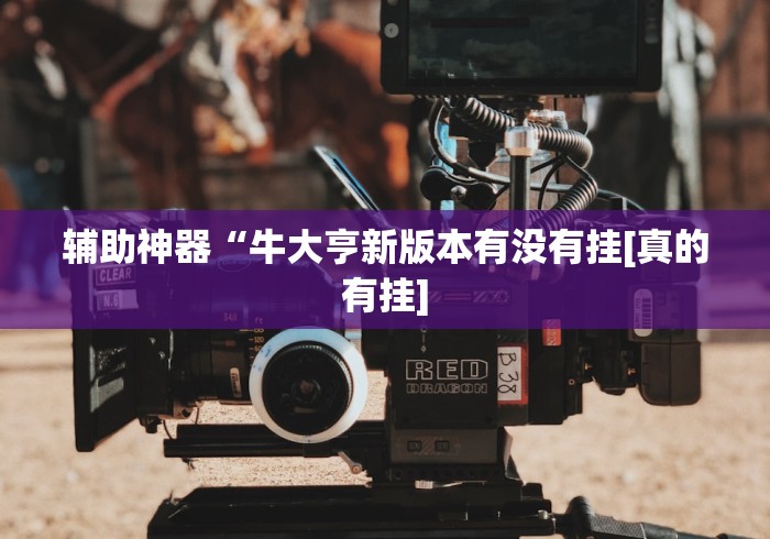 辅助神器“牛大亨新版本有没有挂[真的有挂]
