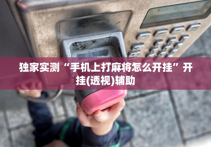 独家实测“手机上打麻将怎么开挂”开挂(透视)辅助