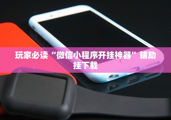 玩家必读“微信小程序开挂神器”辅助挂下载