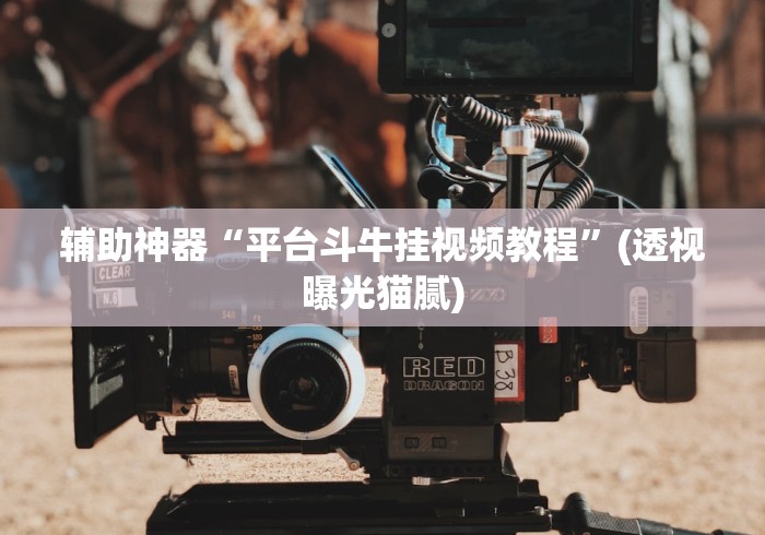 实测教程“富豪麻将有挂吗可以开挂吗”开挂神器{透视辅助}全揭秘