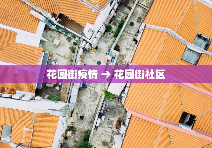 辅助神器“手机打麻将有挂吗想买一个”详细透视辅助教程官方正版下载