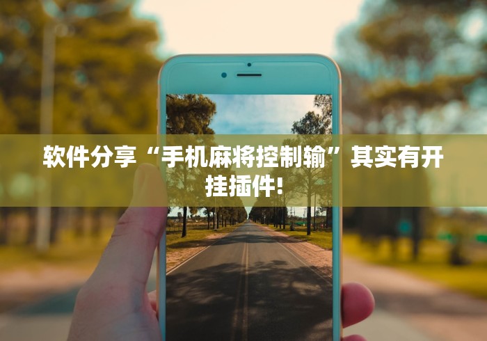 软件分享“手机麻将控制输”其实有开挂插件!